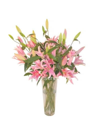 Mazzo di lilium rosa