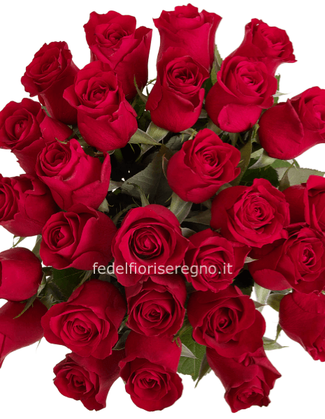 Rose rosse prima scelta